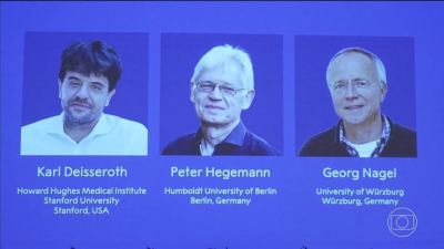« Nobel de médecine 2026 : trois scientifiques récompensés pour avoir appris à contrôler les neurones avec la lumière »